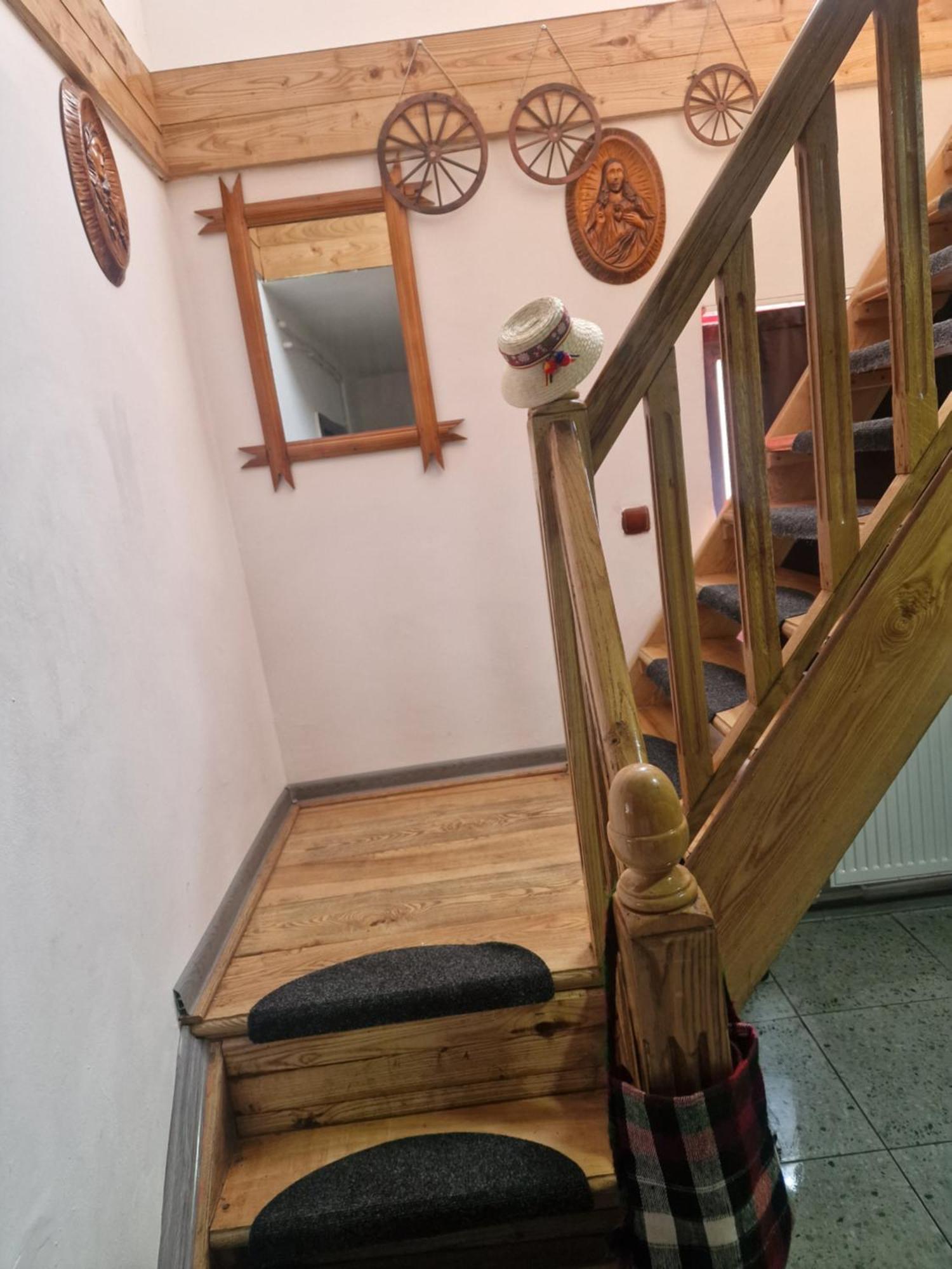 Вилла Casa Roxana Viseu de Mijloc Экстерьер фото