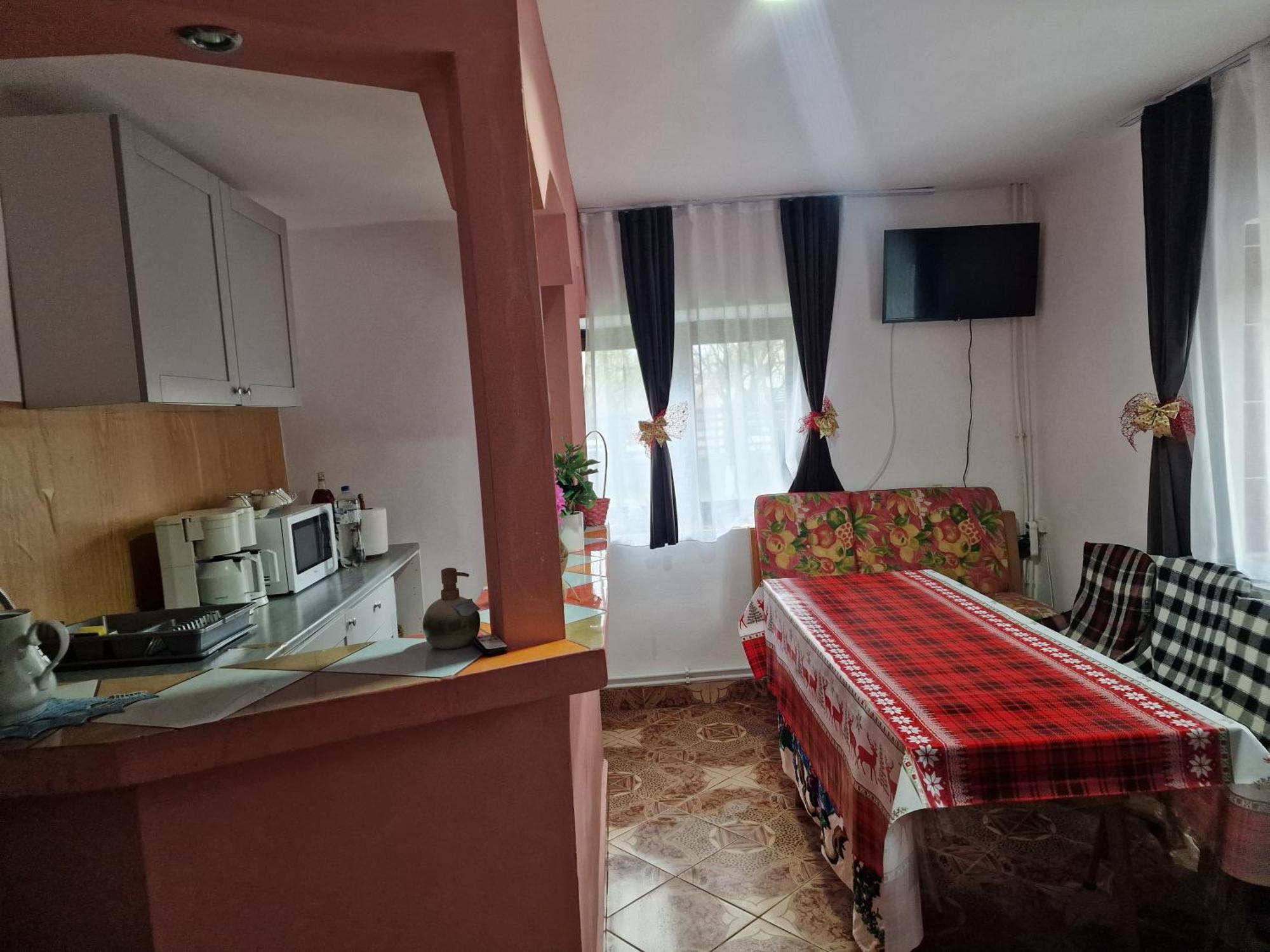 Вилла Casa Roxana Viseu de Mijloc Экстерьер фото