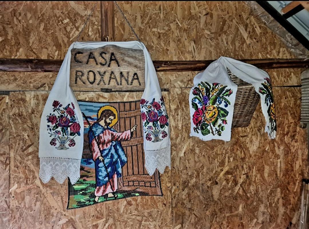 Вилла Casa Roxana Viseu de Mijloc Экстерьер фото