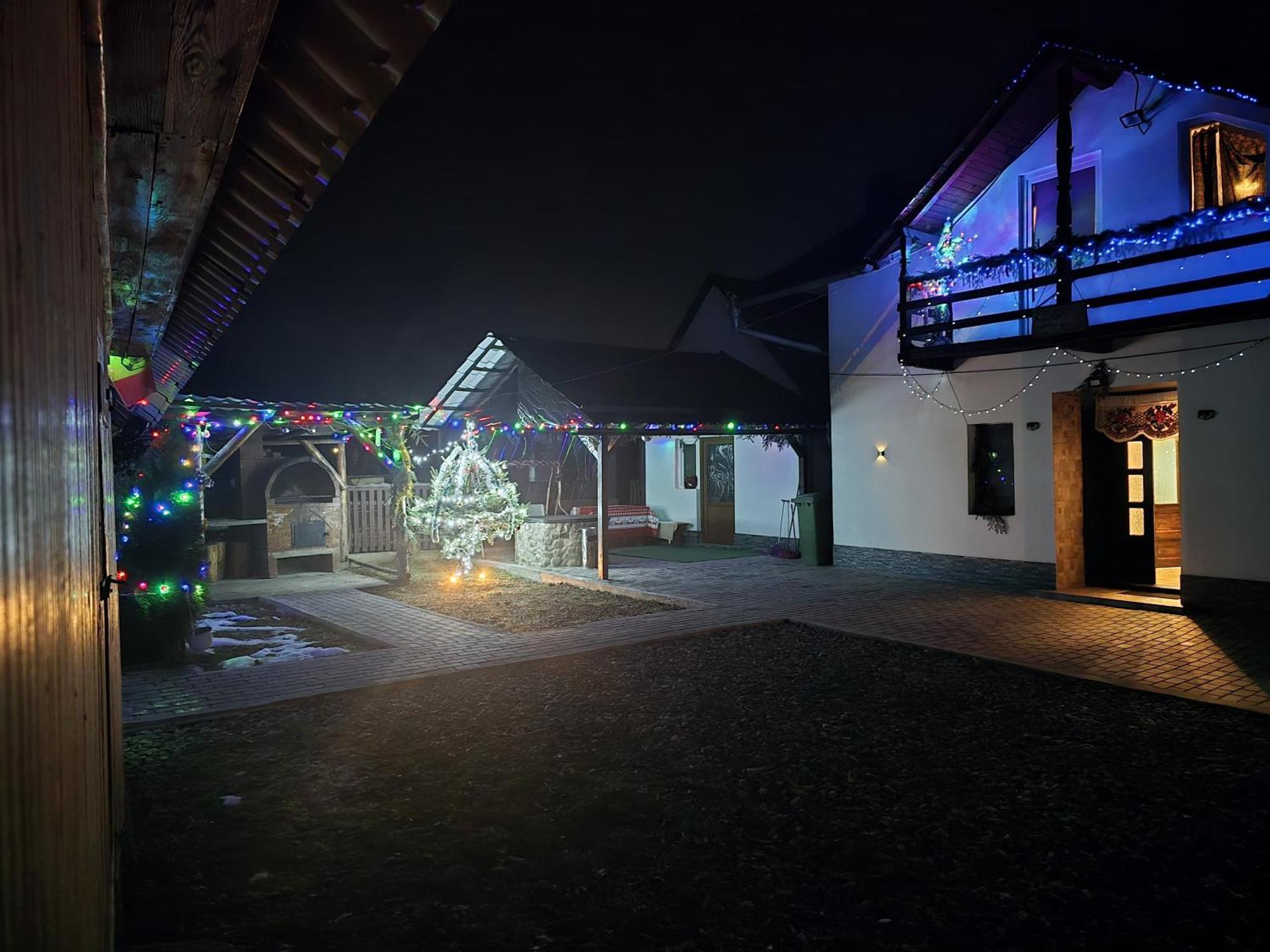 Вилла Casa Roxana Viseu de Mijloc Экстерьер фото
